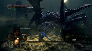 SL1 NG+6 No rolling/sprinting/blocking/parrying Gaping Dragon (No rings)