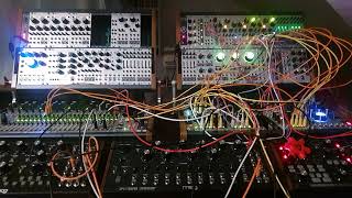 Celebrity Self-generating ambient patch (31 / xii / 2024 - A) Net Worth