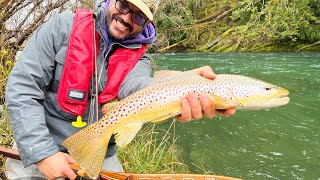 cowichan river brown trout fly fishing
