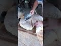 Unique Cake Cutting Technique with Giant Knife #shorts #viral #cake