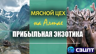 Мясной цех на Алтае. Прибыльная экзотика - фермер создал производство мясных деликатесов с нуля