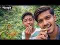 जंगल में मिले छोटे-छोटे फल 🍒 | खाकर देख लिया सच क्या हुआ? 😱 | Jungle Adventure Vlog