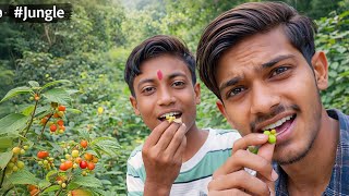 जंगल में मिले छोटे-छोटे फल 🍒 | खाकर देख लिया सच क्या हुआ? 😱 | Jungle Adventure Vlog