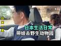 跟朋友在日本自駕遊,帶喜娜醬感受野生動物園,長大了都是回憶!