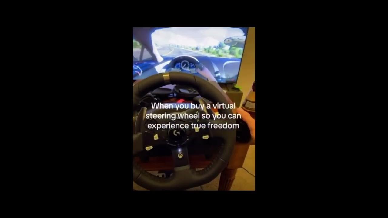 When you buy a virtual steering wheel so you can experience true ...