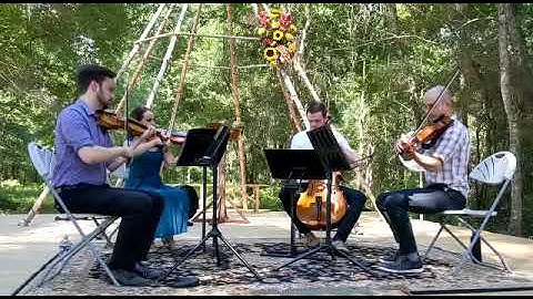 Concerning Hobbits - Lord of the Rings (String Quartet Cover)