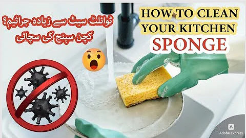 Warning: This Sponge Has More Germs Than a Toilet!