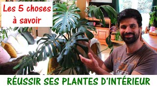 5 CHOSES A SAVOIR POUR RÉUSSIR SES PLANTES D'INTÉRIEUR