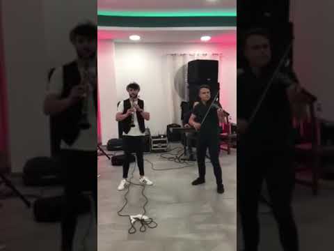Formatia LEO NOROCOSU LIVE
