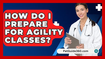 How Do I Prepare For Agility Classes? - PetGuide360.com