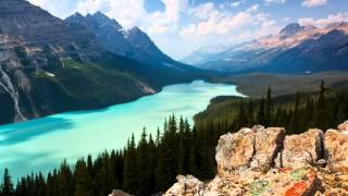 Composing Photo With Leading Lines