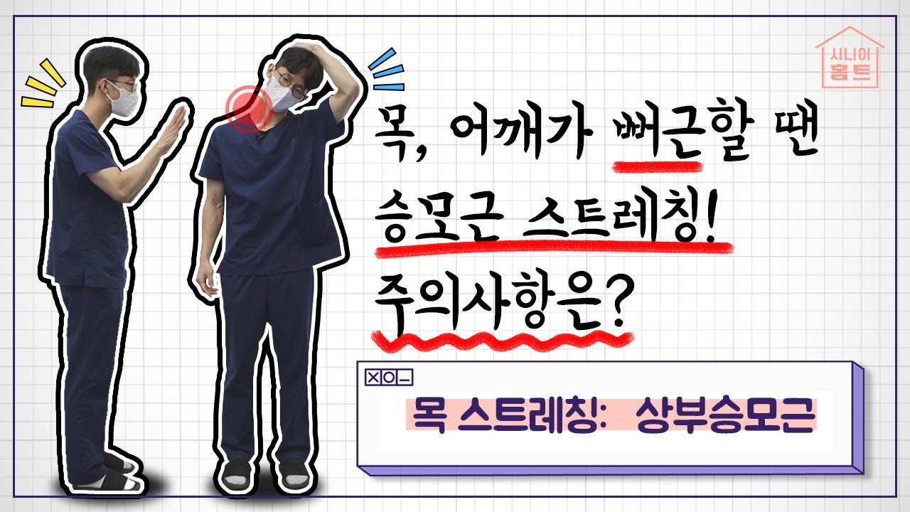 목, 어깨가 뻐근할 땐 상부승모근 스트레칭❗주의사항은????? [시니어홈트]