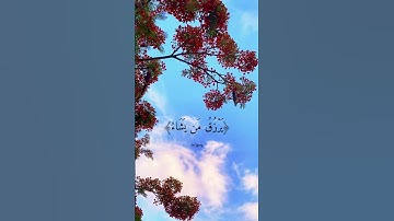 القارئ فارس عباد - الله لطيف بعباده يرزق من يشاء وهو القوي العزيز - من سورة الشورى