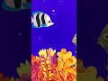 lullaby for babies to go to sleep fish animation Bedtime Lullaby For Sweet Dreams Shorts #Babysleep