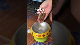 Kaniva cat food #catfood #dryfood