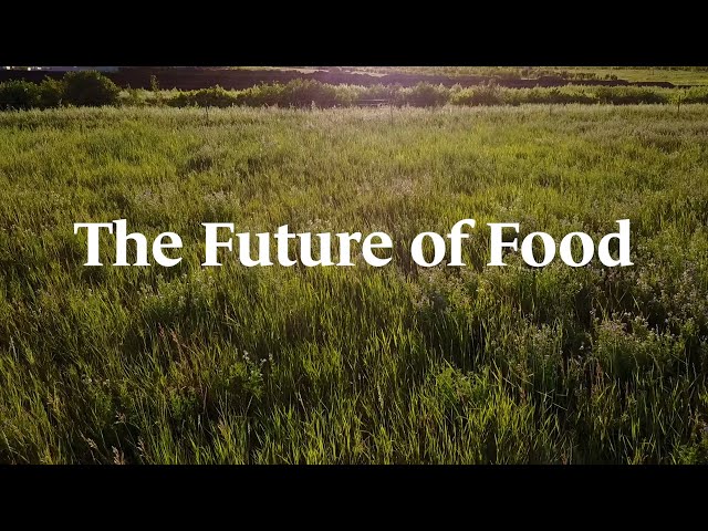 Future of Food | Soil Regeneration Documentary
