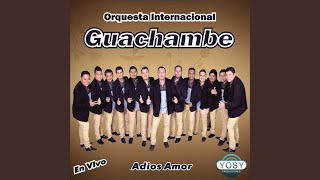 Si Lloraste No Te Vi