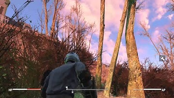 Supermutant Suiciders 