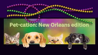 Unlocking the Magic: Pet-Friendly New Orleans Awaits