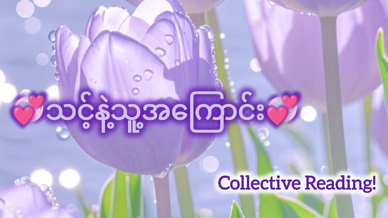 🌿About You and Your Person 🍵🍃🐈 Collective Reading 🔮🦄