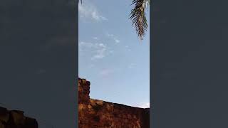 MOURICEHOLLYWOOD UNDER MOURICE MEDIA BY TMJ