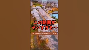 【中国】移民推進CMがヤバすぎる…