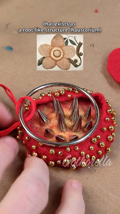 The stinking corpse lily 🌸AKA🌸Rafflesia🪰(beaded art piece)