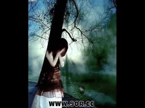 حلفوه حسام حبيب