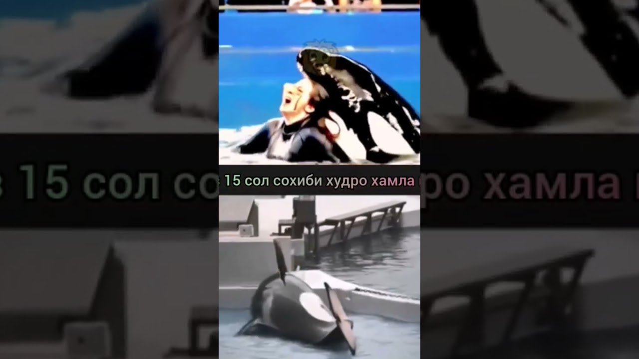 духтаро хурд 🥺