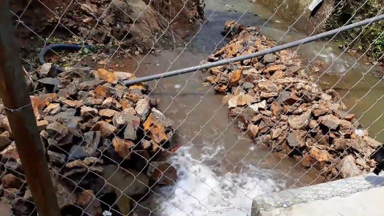BUDIDAYA IKAN NILA DAN MAS DI KOLAM SUNGAI 
