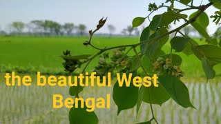 The Beautiful West Bengal,Hooghly Nature With Bapan