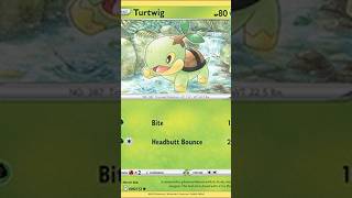 Turtwig