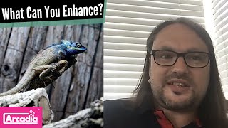 A Growth Mindset for Reptile Keeping | John Courteney-Smith MRSB - The Animals at Home Podcast