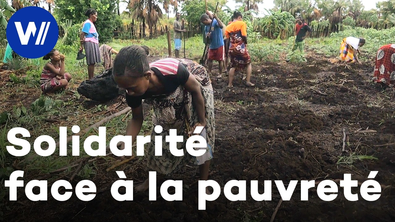 A Madagascar, des initiatives solidaires pour lutter contre la pauvreté en milieu rural
