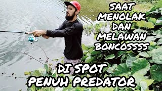 MELAWAN DAN MENOLAK BONCOSS DI SPOT YANG PENUH DENGAN IKAN PREDATOR