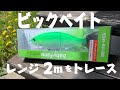 Baby Face ビックベイト【日本初２mレンジを引くS字系】