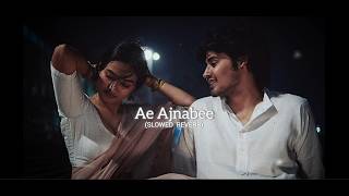 Ae Ajnabee (Slowed + Reverb) | Coke Studio Bharat | Aditya Rikhari x Ravator x Kutle Khan