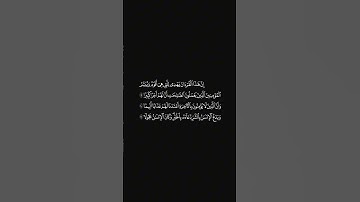 الشيخ محمد أباالحسن سورة الإسراء