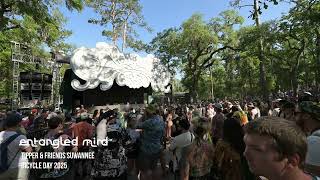 Celebrity Entangled Mind - Live at Tipper & Friends Suwannee 2025 Net Worth