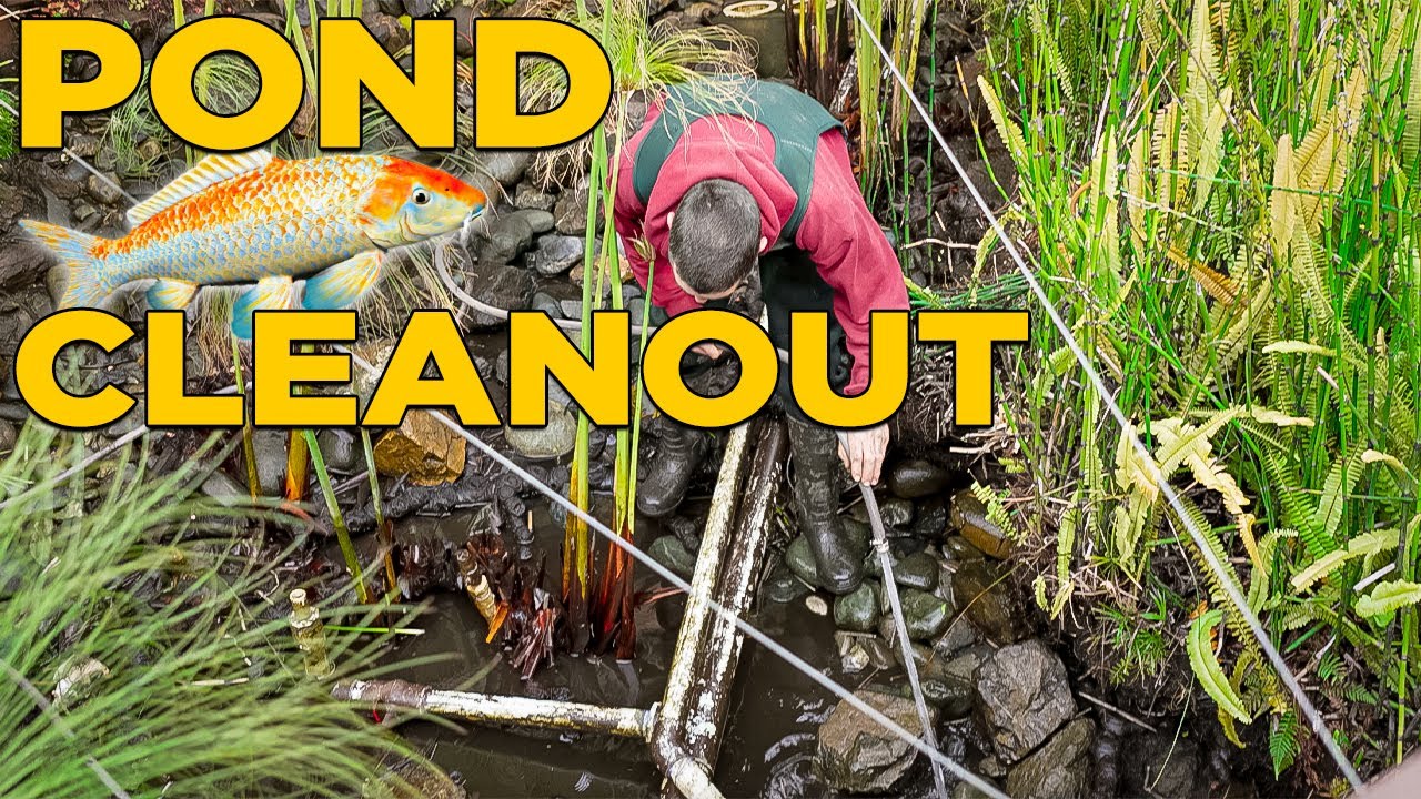 AQUASCAPE Pond Cleanouts (1) YouTube