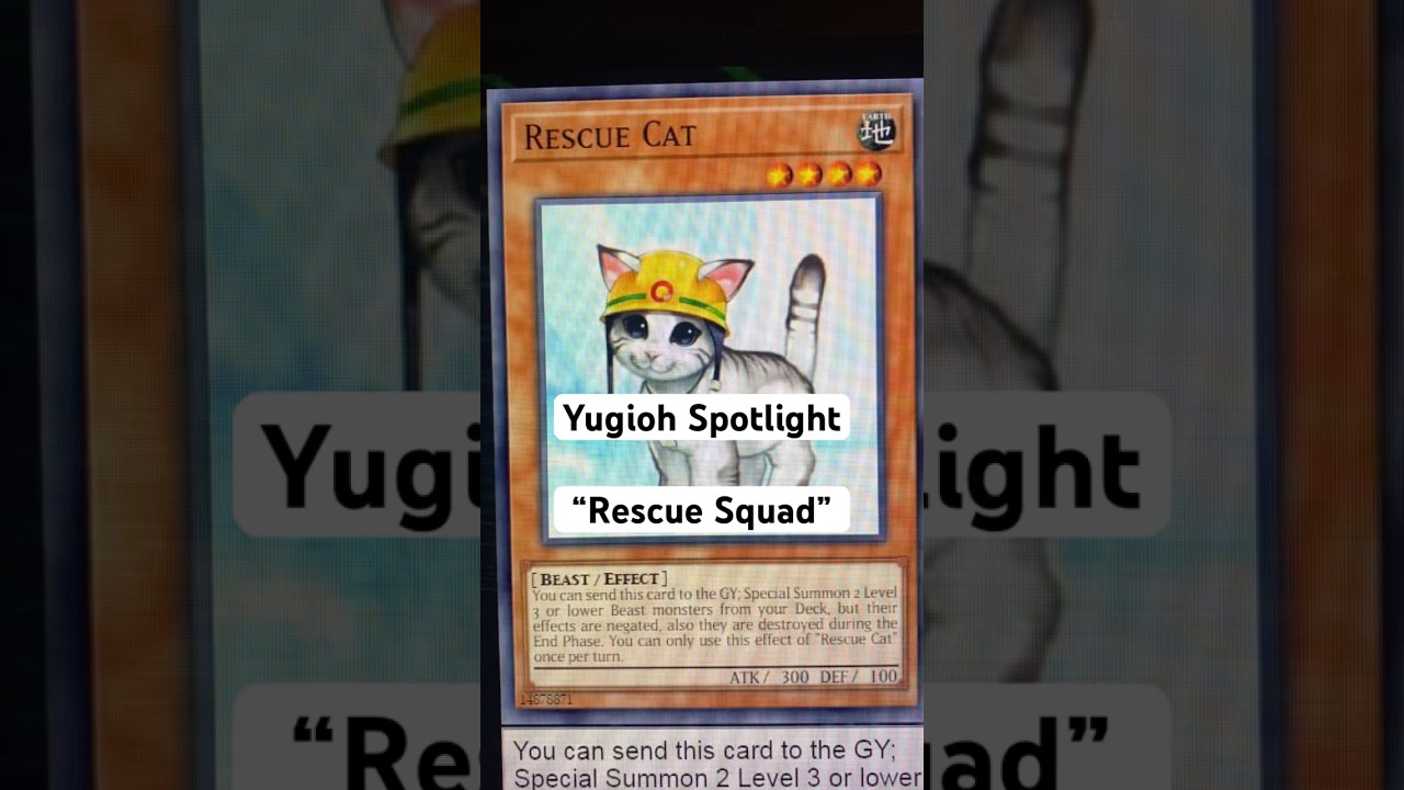 yu gi oh deck wiki Structure Deck