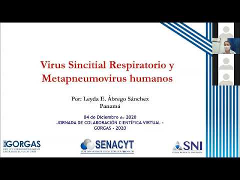 Video: Los fraudes venden píldoras 'Anti-Vax' hechas de carne enferma, poniendo en peligro innumerables mascotas