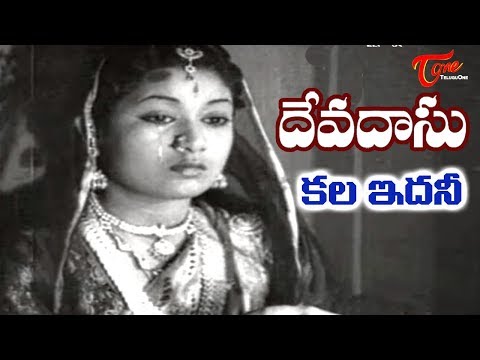 Old Songs| Devadasu Movie | Kala Idhani Song | ANR | Savitri - OldSongsTelugu