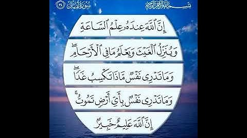 رعد بن محمد الكردي سورة لقمان