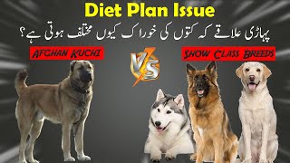 Afghan Kuchi Dog Raw Diet Facts || Dog Breed Diet Plan || Dog Diet Plan