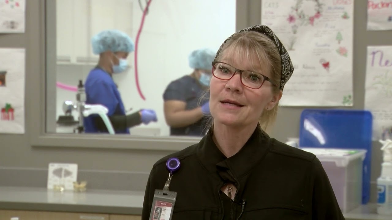 Regional Occupational Center Program for Education, Treatment and Sterilization (ROC PETS )