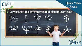Learn Plant Classification for Class 2 | Science Olympiad Prep screenshot 5