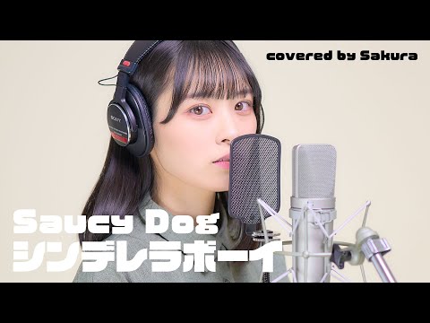シンデレラボーイ / Saucy Dog　covered by Sakura【50天】 (cover)