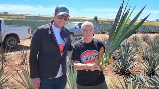 In the Agave Fields with Lou Agave, Dan Agave and Roberto Lopez