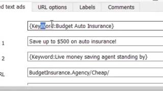 #2 Adwords Editor ( Mass GEO PPC Software) screenshot 2